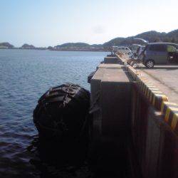 小サバ27匹、小アジ２２センチ